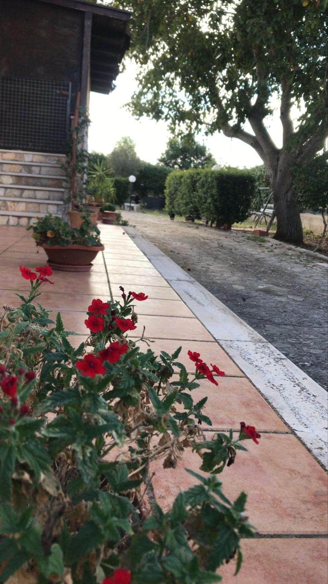 Villa Marida Gioia Del Colle Luaran gambar
